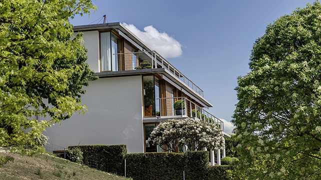 Neubau Aussenpool mit Gartengestaltung